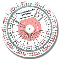 Wheel pregnancy calculator Promotional Pregnancy